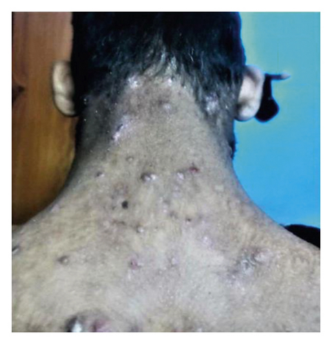 Details are in the caption following the image Details are in the caption following the image
