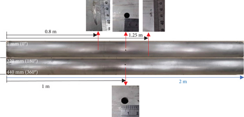 Details are in the caption following the image Details are in the caption following the image