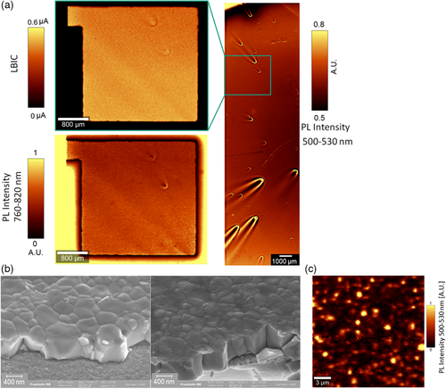 Details are in the caption following the image Details are in the caption following the image