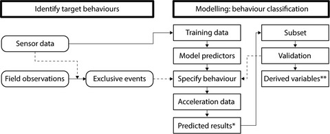 Quantifying song behavior in a free-living, light-weight, mobile bird using accelerometers