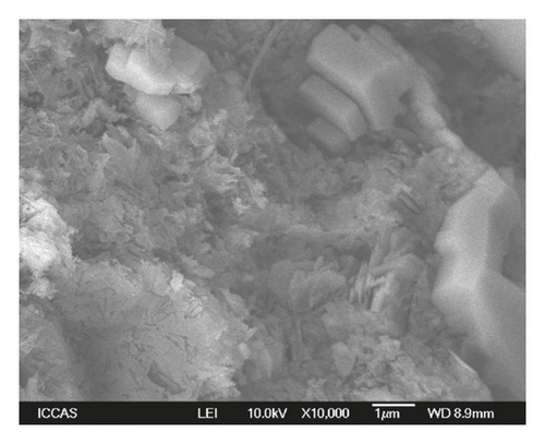 Details are in the caption following the image