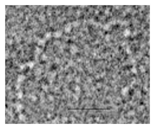 Details are in the caption following the image