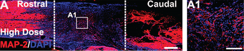 Details are in the caption following the image