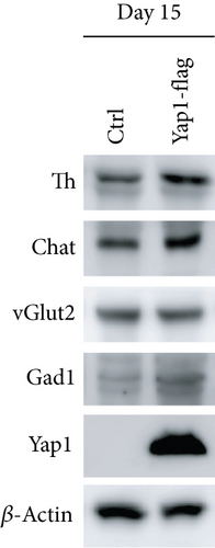 Details are in the caption following the image