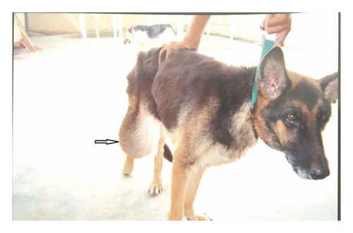 Details are in the caption following the image Details are in the caption following the image