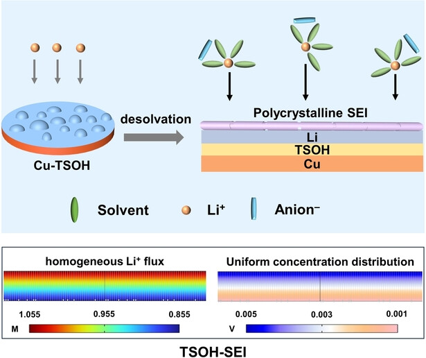 Sulfonyl Molecules Induced Oriented Lithium Deposition for Long-Term Lithium Metal Batteries