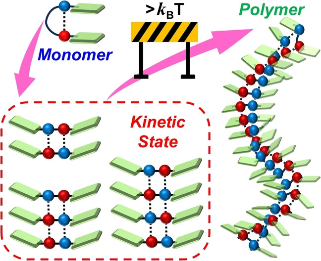 Supramolecular Polymerization of a Pyrene-Substituted Diamide and Its Ensemble of Kinetically Trapped Configurations