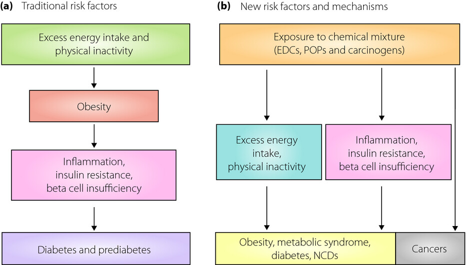 Success of 2013–2020 World Health Organization action plan to control non-communicable diseases would require pollutants control