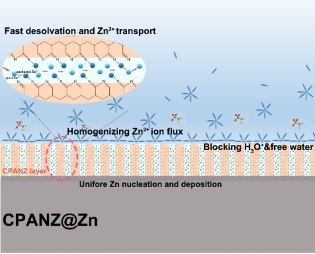 Interfacial Engineering of Zn Metal via a Localized Conjugated Layer for Highly Reversible Aqueous Zinc Ion Battery