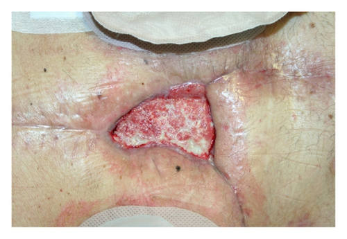 Details are in the caption following the image Details are in the caption following the image