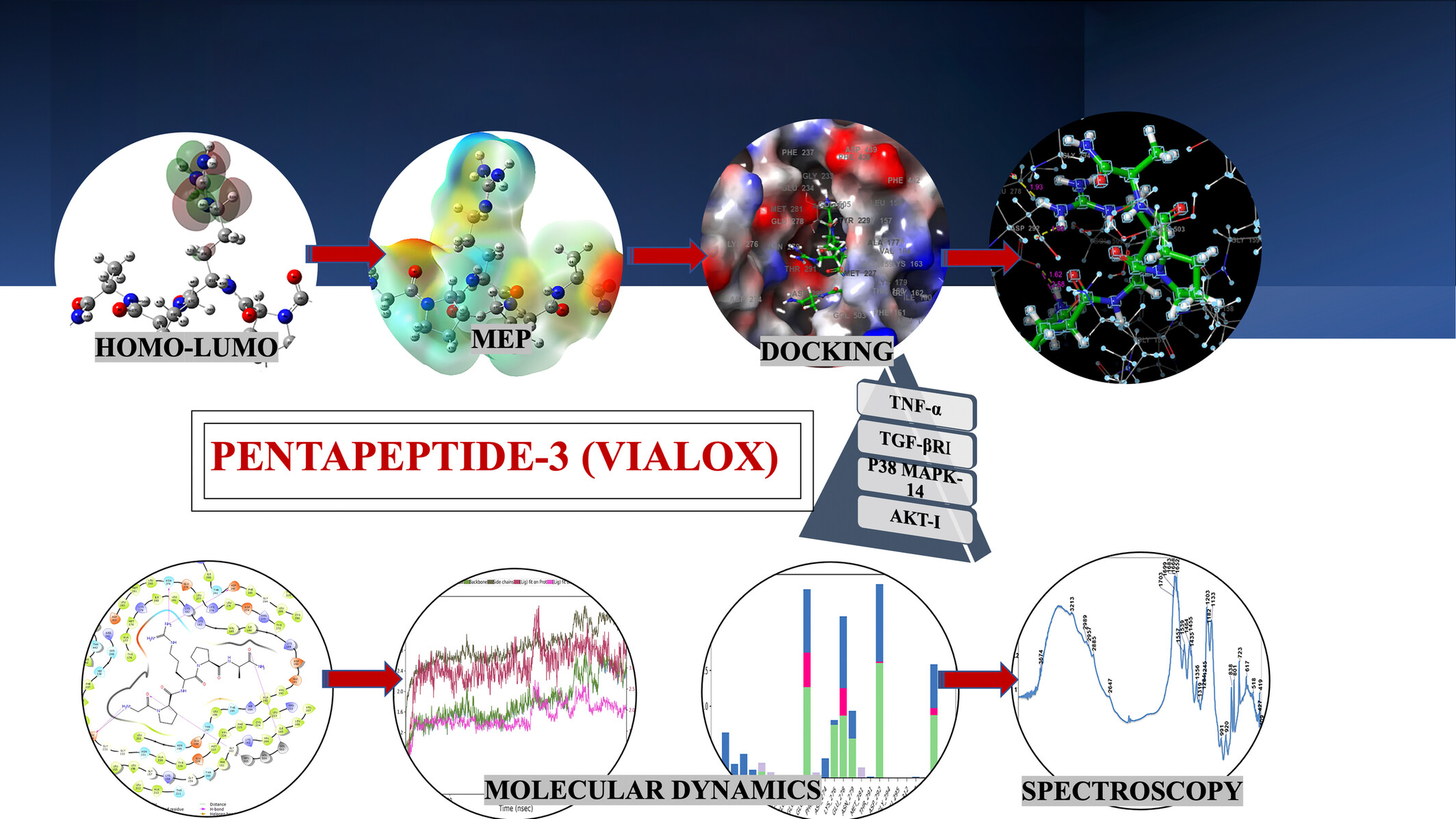 Quantum Chemical, Spectroscopic and In Silico (Molecular Docking, Molecular Dynamic and ADME) Studies on Anti-Aging Pentapeptide-3 (Vialox) Issue 15, 2025