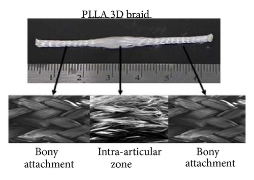 Details are in the caption following the image