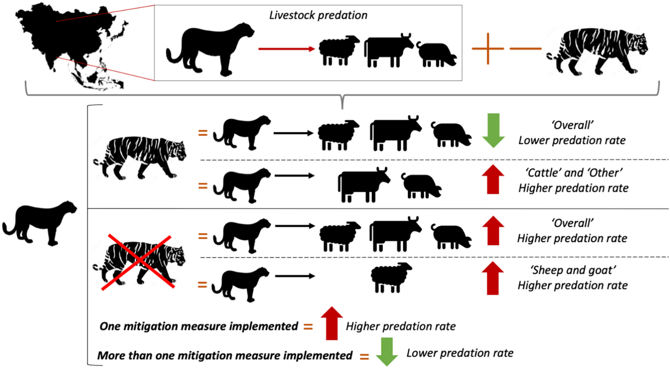 Interference competition driven by co-occurrence with tigers Panthera tigris may increase livestock predation by leopards Panthera pardus: a first step meta-analysis