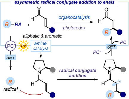 A General Organocatalytic System for Enantioselective Radical Conjugate Additions to Enals