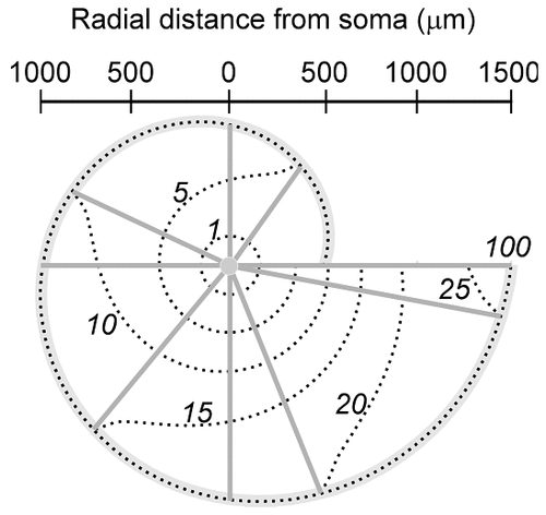 Details are in the caption following the image