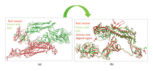 Details are in the caption following the image Details are in the caption following the image