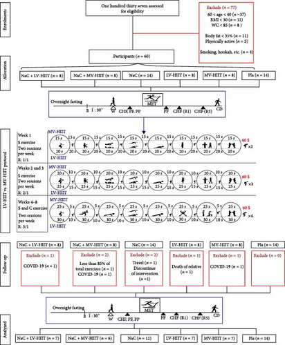 Details are in the caption following the image Details are in the caption following the image