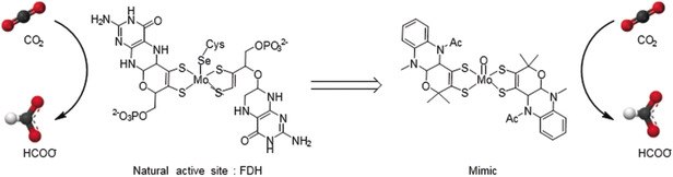Pyranopterin Related Dithiolene Molybdenum Complexes as Homogeneous Catalysts for CO2 Photoreduction