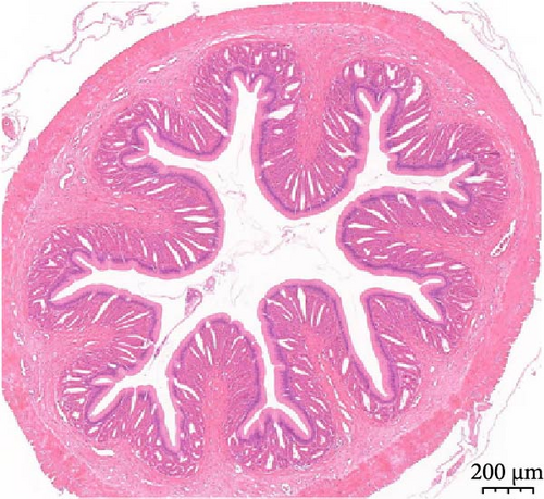 Details are in the caption following the image