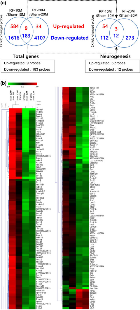 Behavioral changes and gene profile alterations after chronic 1,950-MHz radiofrequency exposure: An observation in C57BL/6 mice