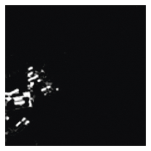Details are in the caption following the image