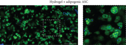 Details are in the caption following the image Details are in the caption following the image