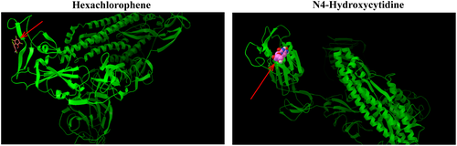 Details are in the caption following the image Details are in the caption following the image