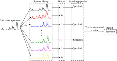 Classification method based on Siamese-like neural network for inter-species blood Raman spectra similarity measure