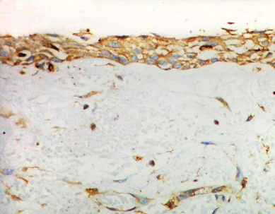 Details are in the caption following the image