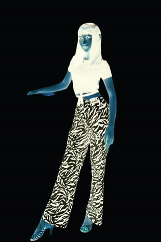 Details are in the caption following the image