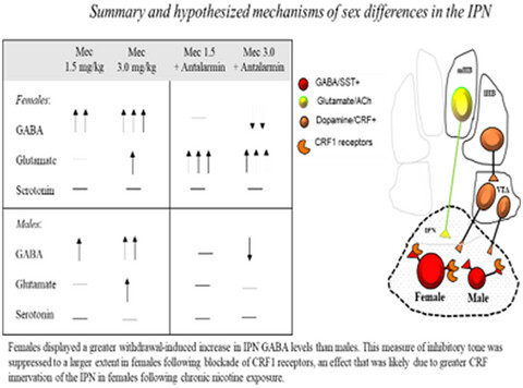 Amino acid systems in the interpeduncular nucleus are altered in a sex-dependent manner during nicotine withdrawal