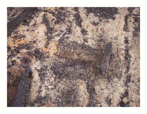 Details are in the caption following the image