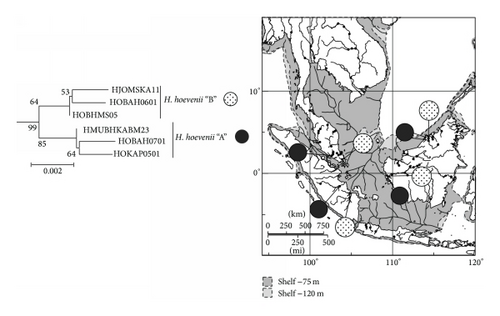 Details are in the caption following the image