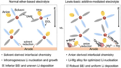 Lewis-Base Electrolyte Additive Mediates Interfacial Chemistry for Stable Lithium Metal Batteries