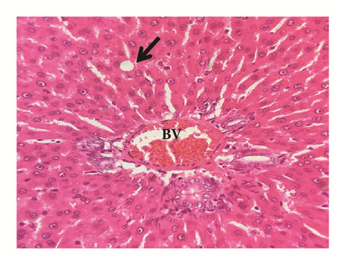 Details are in the caption following the image