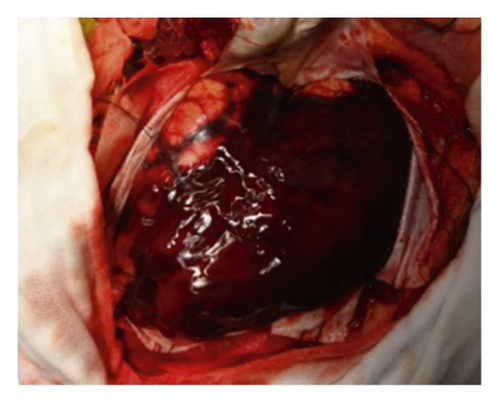 Details are in the caption following the image Details are in the caption following the image