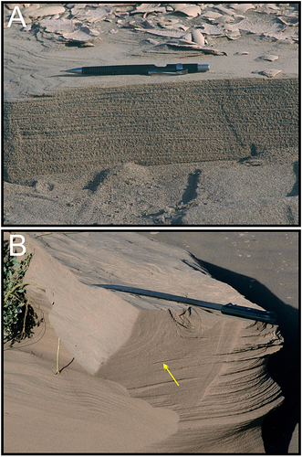 Details are in the caption following the image
