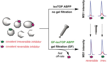 The Proteome-Wide Potential for Reversible Covalency at Cysteine