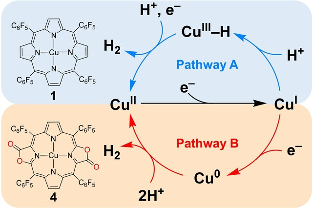 Switching Electrocatalytic Hydrogen Evolution Pathways through Electronic Tuning of Copper Porphyrins