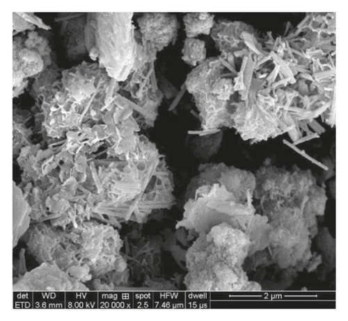 Details are in the caption following the image