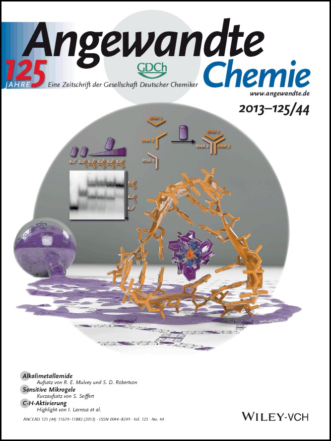 Titelbild: Binding of a Designed Anti-Cancer Drug to the Central Cavity of an RNA Three-Way Junction (Angew. Chem. 44/2013)