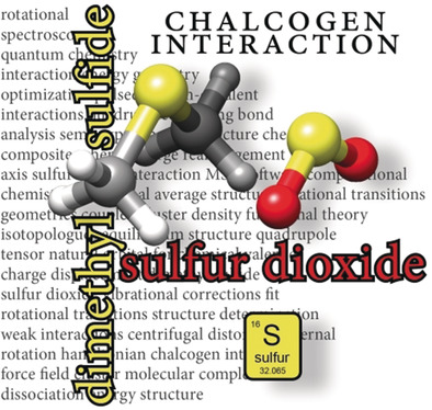 Unveiling the Sulfur–Sulfur Bridge: Accurate Structural and Energetic Characterization of a Homochalcogen Intermolecular Bond