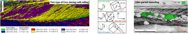 The Origins of the Goss Orientation in Non-Oriented Electrical Steel and the Evolution of the Goss Texture during Thermomechanical Processing