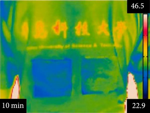 Details are in the caption following the image Details are in the caption following the image