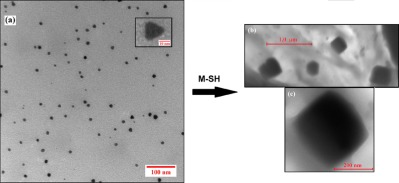 Obtaining of hybrid nanocomposites by simultaneous photopolymerization of some urethane monomers and photoinduced formation of gold nanoparticles