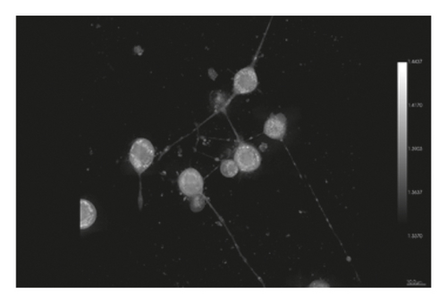 Details are in the caption following the image