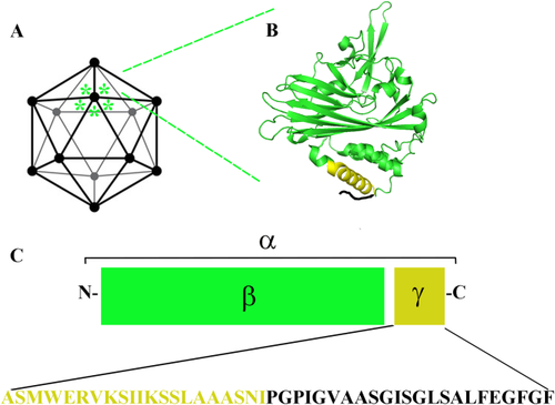 Details are in the caption following the image Details are in the caption following the image