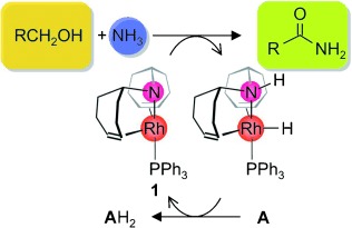 Catalyzed Dehydrogenative Coupling of Primary Alcohols with Water, Methanol, or Amines