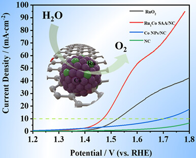 Electrochemical Oxygen Evolution Performance of Nitrogen-Doped Ultra-Thin Carbon Nanosheets Composite Ru1Co Single Atom Alloy Catalysts†