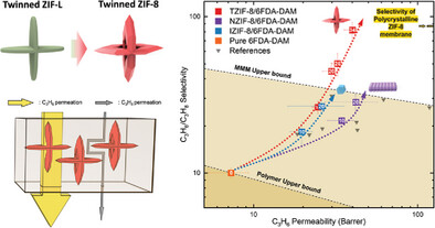Twinned Metal–Organic Framework Nanoplates for Hydrocarbon Separation Membranes